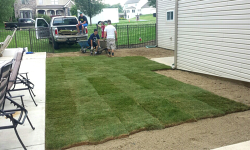 Lawn Installation